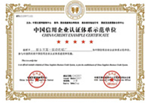 中國互聯網新聞中心