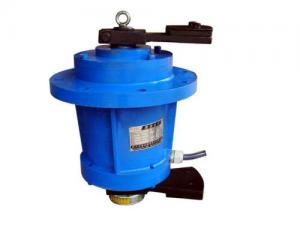 YZDL立式振動(dòng)電機(jī)